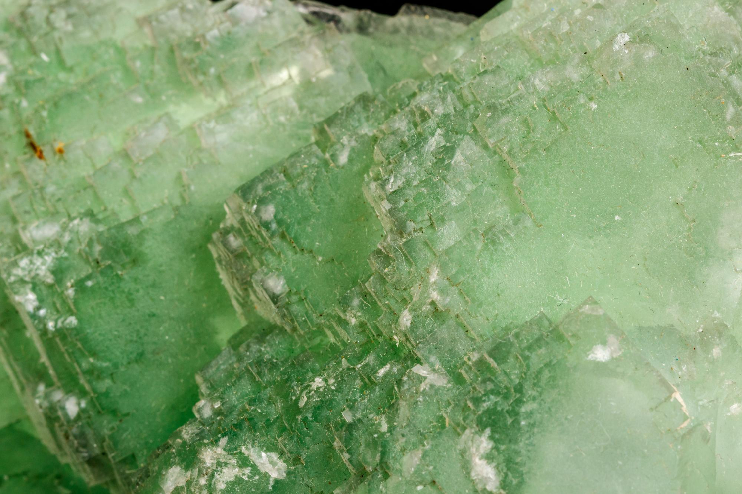 Pedra Verde Guatemala